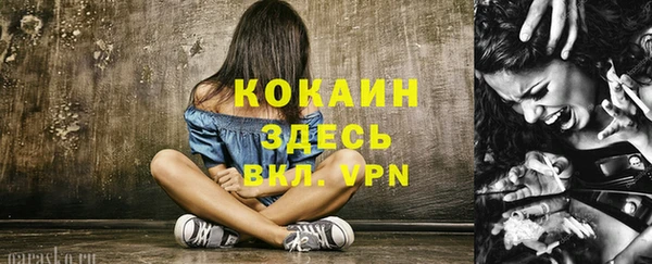 шишки Корсаков