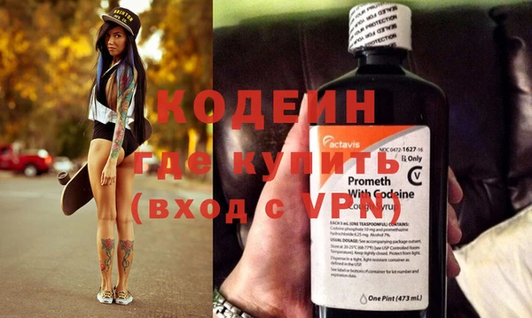 шишки Корсаков