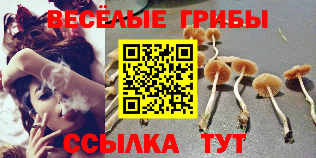 Коркино  Псилоцибиновые грибы мухоморы  Вход с VPN 